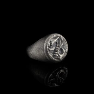 The Snake Signet Ring is a product of high class craftsmanship and intricate designing. It's solid structure makes it a perfect piece to use as an everyday jewelry to elevate your style. This exceptional ring is made to last and worthy of passing onto next generations.