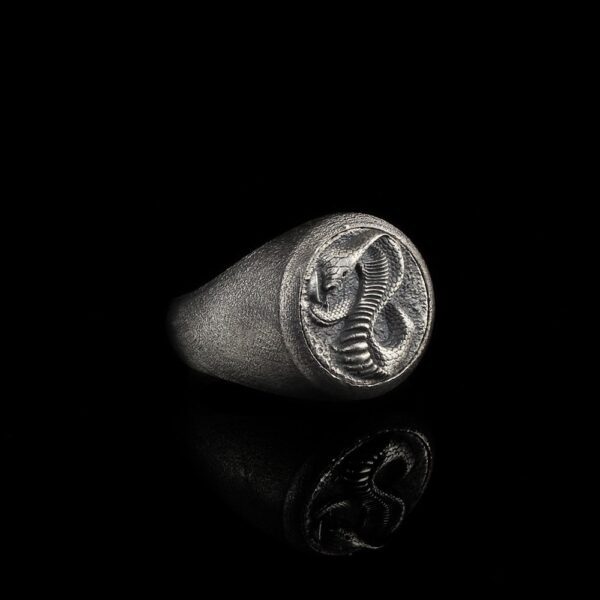 the snake signet ring is a product of high class craftsmanship and intricate designing. it's solid structure makes it a perfect piece to use as an everyday jewelry to elevate your style. this exceptional ring is made to last and worthy of passing onto next generations.